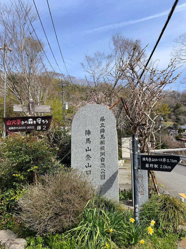 【陣馬山】日帰り登山にオススメな陣馬山⛰️