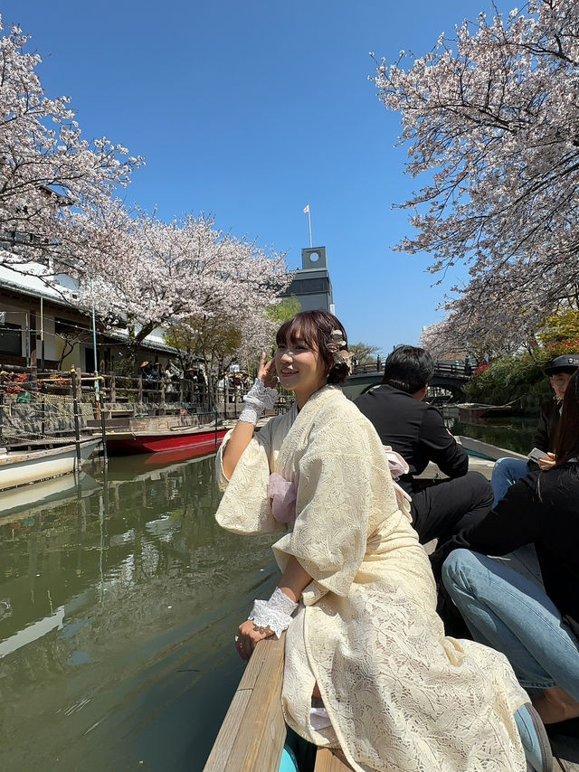 柳川🇯🇵北九州河川櫻花小鎮🌸