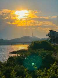 자전거 타기 딱 좋은 서울 한강 라이딩 코스 🚴‍♂️🌿