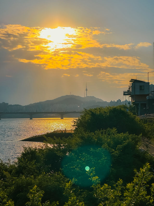 자전거 타기 딱 좋은 서울 한강 라이딩 코스 🚴‍♂️🌿