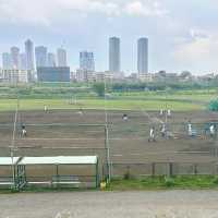 東風平運動公園棒球場•櫻花下的棒球夢