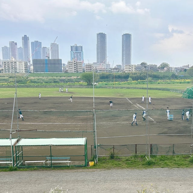 東風平運動公園棒球場•櫻花下的棒球夢
