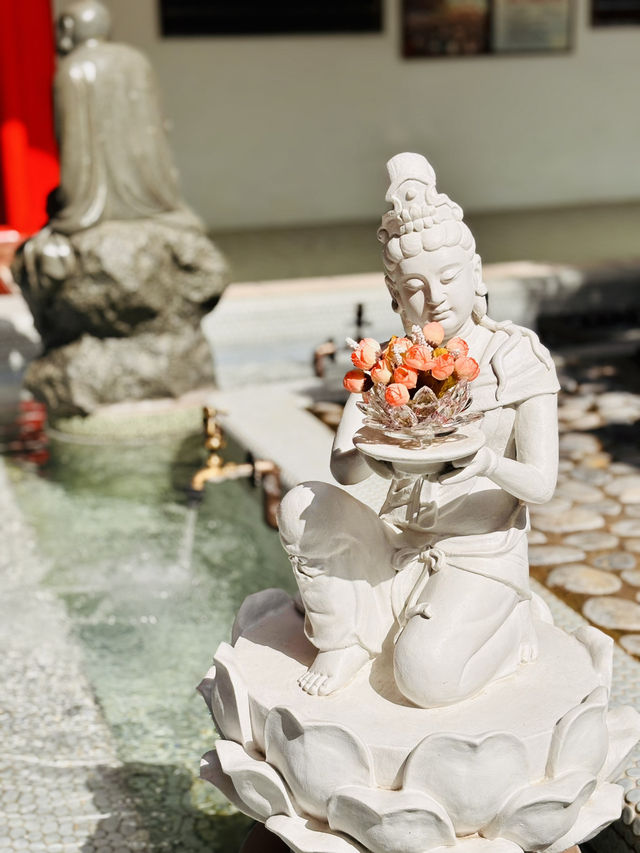 🙏✨ 探索千佛山菩提寺：靈性之旅的心靈聖地！