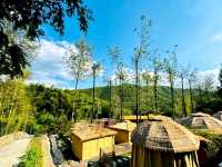 Lu Lake Bamboo Sea: A Hidden Retreat in Nature’s Embrace