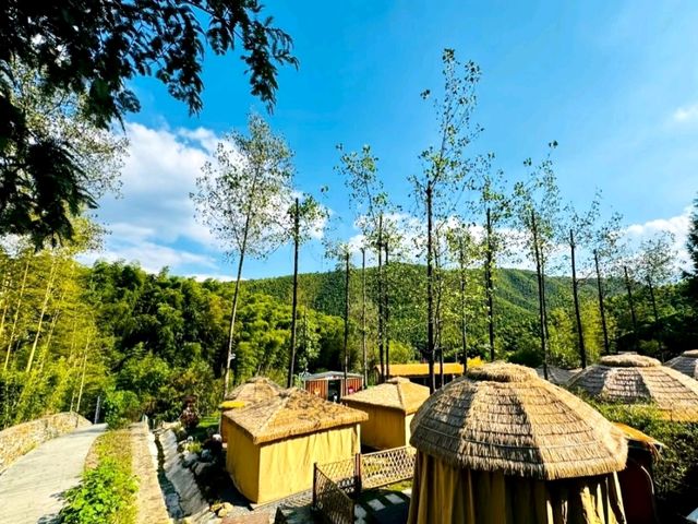 Lu Lake Bamboo Sea: A Hidden Retreat in Nature’s Embrace