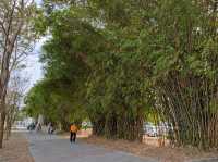 #台南都會公園-臺南市仁德區