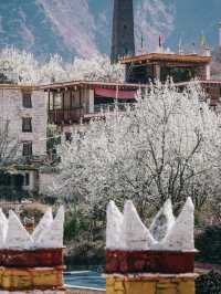 Discover and explore Zhonglu