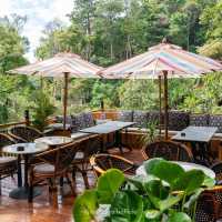 คาเฟ่ภูเก็ตในพงไพร กิจกรรมแน่น !!!