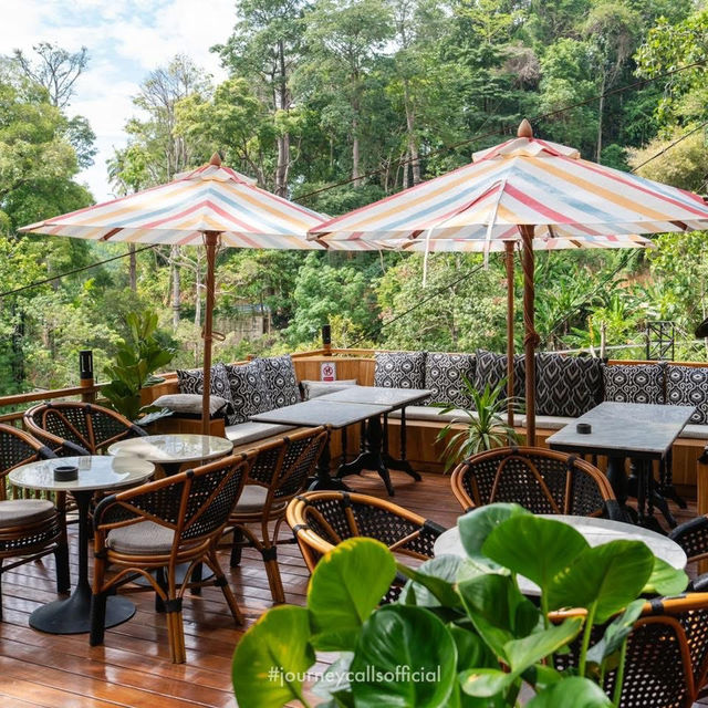 คาเฟ่ภูเก็ตในพงไพร กิจกรรมแน่น !!!