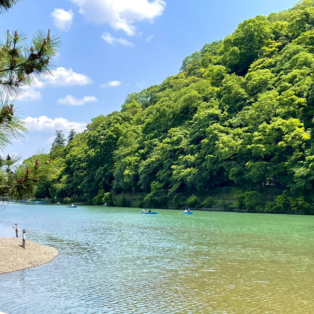 【京都】新緑とエメラルドグリーンの水面・・風光明媚な絶景