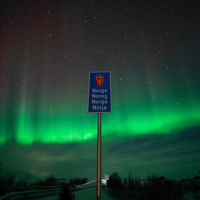 Chasing Aurora in Tromsø: Frozen Toes, Whale Snot, & the Night Sky’s Greatest Show ✨🌌