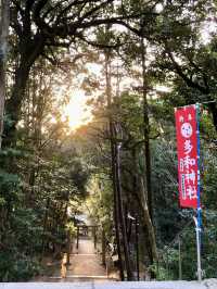 Spring Bliss at Sanukikunisannomiya Tawa Shrine