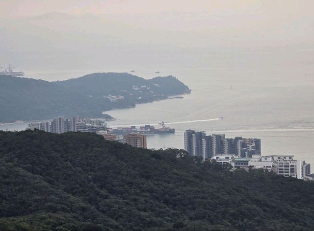 Hong Kong from Above: Victoria Peak Adventure