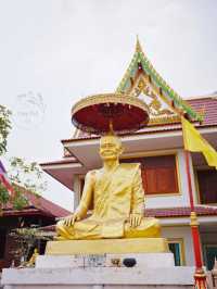 💞 วัดป่าโมกวรวิหาร