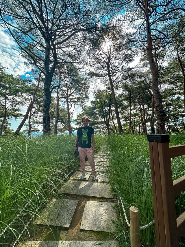 Suspension Bridge in Sogeumsan
