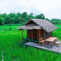 ที่ปลายนาตากับยาย อุทัยธานี