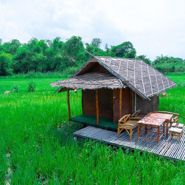 ที่ปลายนาตากับยาย อุทัยธานี