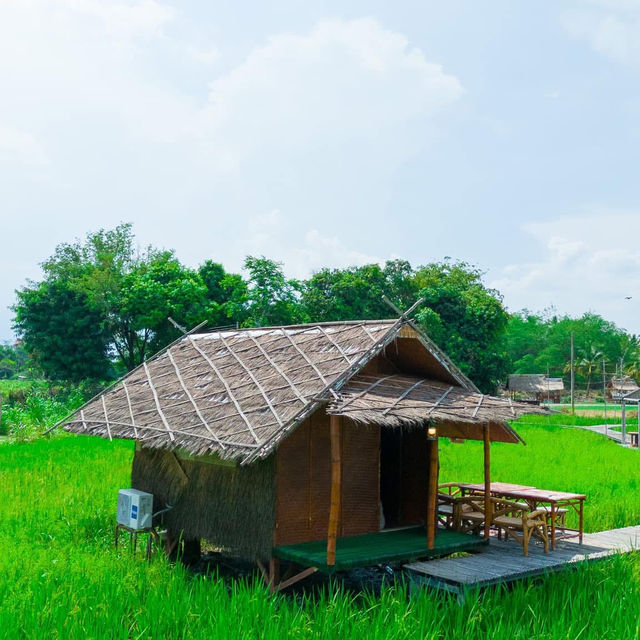 ที่ปลายนาตากับยาย อุทัยธานี