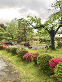Spring Walk at Shōryūji-jō Castle Ruins