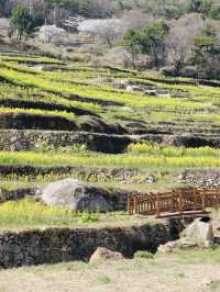 Namhae's Paradangse: An Enchanting Escape