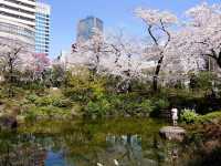 🌟 City Lights & Sakura Dreams: Spring Chillin’ at Midtown Garden! 🌸✨