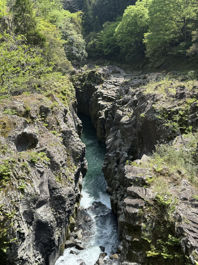 宮崎•自然スポット