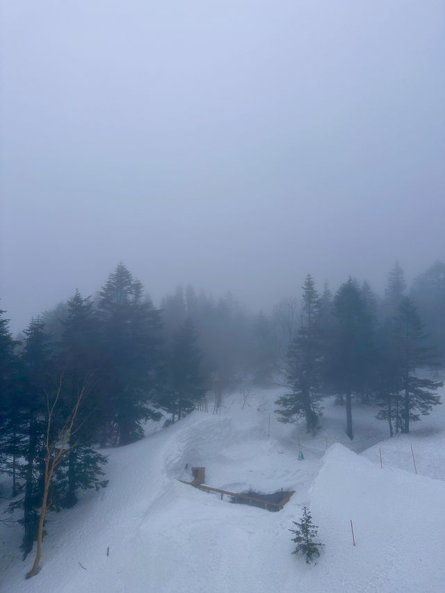 🇯🇵 飛驒高山一定要一起去北阿爾卑斯山纜車🚡