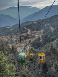 Breathing the Sky: A Calm Escape to Yak Meadow (牦牛坪) on Jade Dragon Snow Mountain