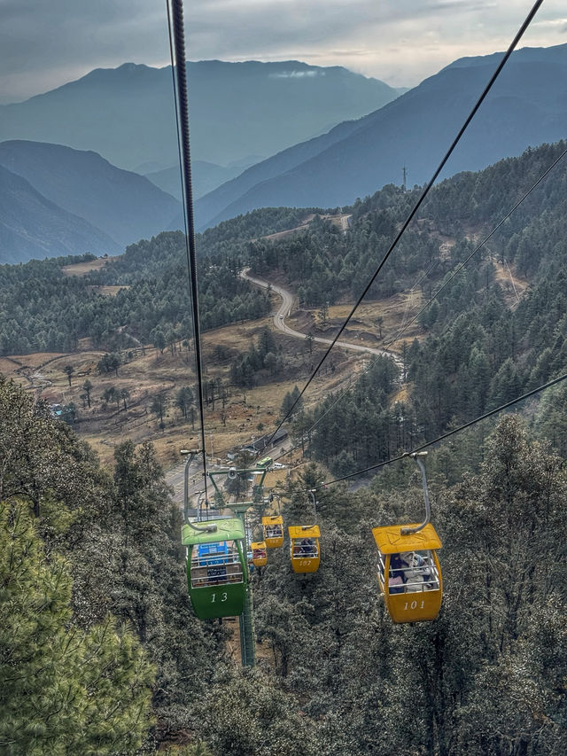 Breathing the Sky: A Calm Escape to Yak Meadow (牦牛坪) on Jade Dragon Snow Mountain