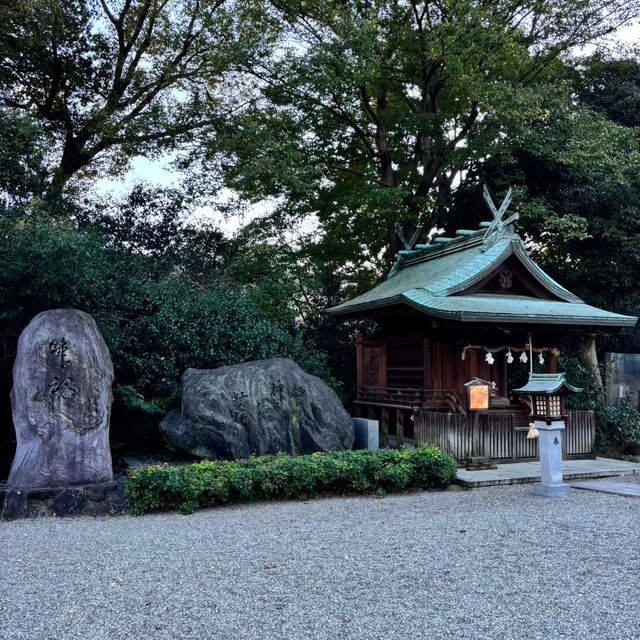 🇯🇵【愛媛県】伊豫豆比古命神社（別称:椿神社）！