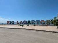 【メキシコ🇲🇽】ボートでフラミンゴに会いに行く旅🦩