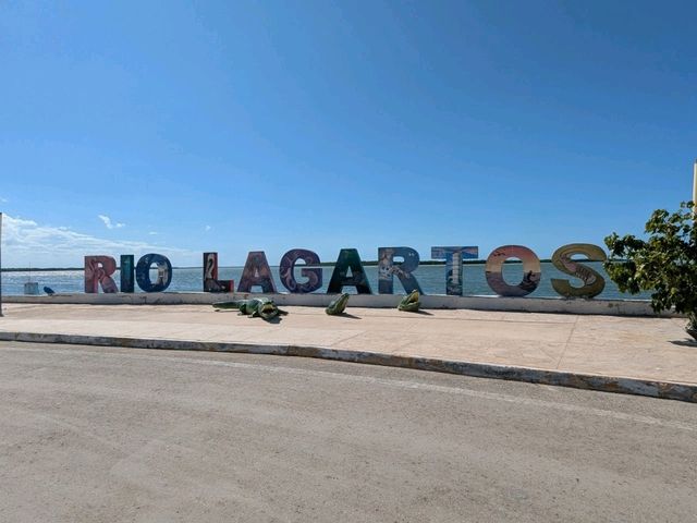 【メキシコ🇲🇽】ボートでフラミンゴに会いに行く旅🦩