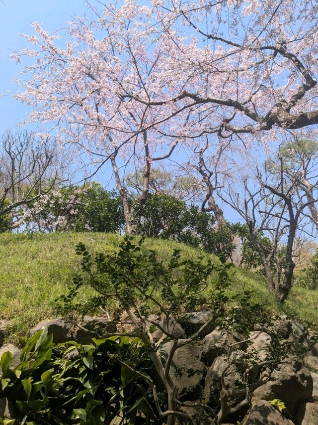 【東京】等々力渓谷にほど近い等々力不動尊
