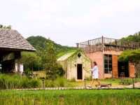 มัดรวม 5 คาเฟ่  [ระยอง] 