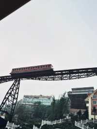 Fansipan Saps 🚠