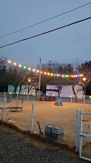 반려견과 함께 여유롭고 편안한 하루를 보내기에 최적화된 감성 애견글램핑장