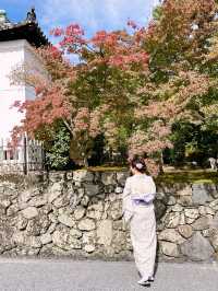 A Day in Arashiyama: Kimono Strolls, Temple Serenity & Tofu Delights🍃