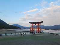 世界文化遺產-嚴島宮島神社、五重塔、千疊閣