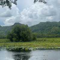เที่ยวชมนก ดูบัวที่หนองปลักพระยา (นกน้ำ สตูล)