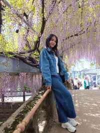 แจกแพลนเที่ยว Fukuoka 5 วัน 🇯🇵