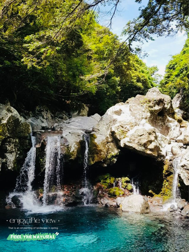 Discovering the Enchanting Beauty of Wonang Falls, Jeju Island
