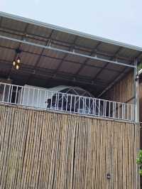 ทิวเขา แคมป์