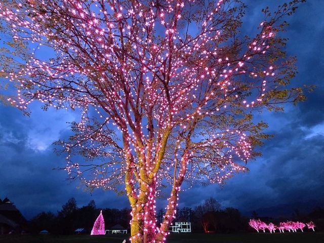 小岩井大満喫☆