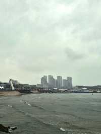 비내리는 칭다오 요트경기장의 풍경🇨🇳
