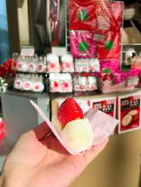 My Flavor-Packed Stroll Through Tsukiji Outer Market🍓