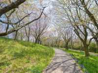 Sanuki Manno Park Is a Hidden Gem