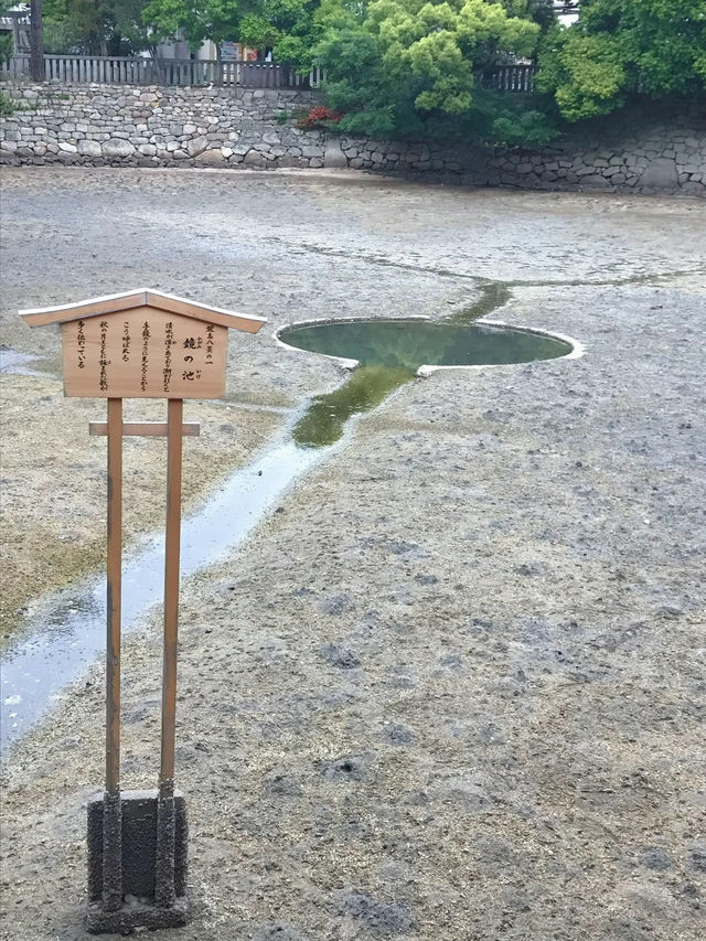 【最強神社3選】2025年は弁財天様の年✨絶対に行きたい神社『3選』はこちら!!