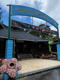 Does the rafflesia flower really smell bad💐?
