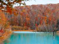 Hokkaido