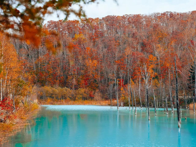 Hokkaido